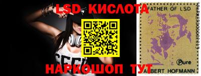 шишки Свободный